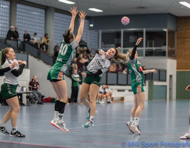 TUS Bothfeld Handball Maler Heyse Sponsoring 2